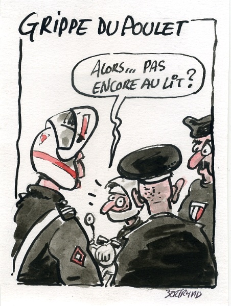 grippe poulet.jpg