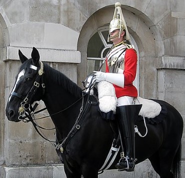 Horse-guard.jpg