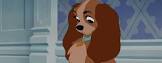 belle.jpeg