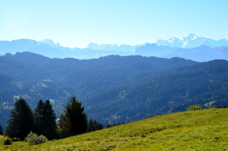 RT 22 - 56r.jpg