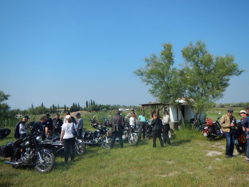 DSCN4985.jpg