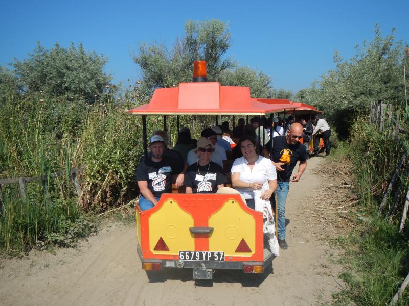 DSCN4988.jpg