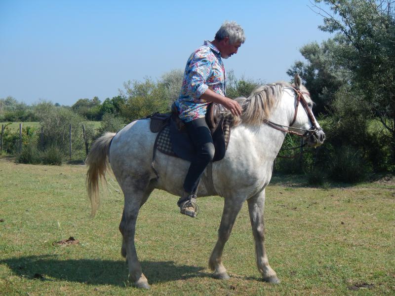 DSCN4999.jpg