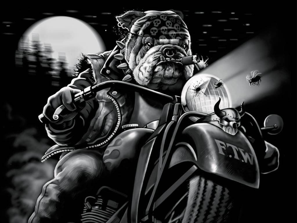 bull_dog_biker.jpg