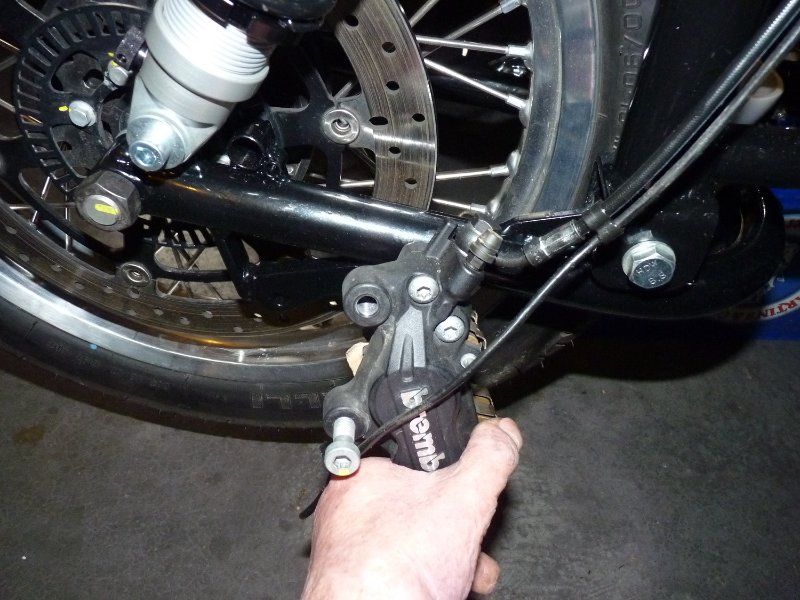 P1080664 - kopie.JPG