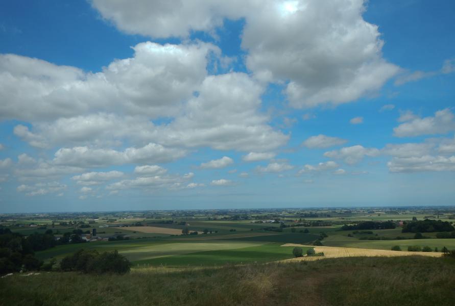 DSCN5082.jpg