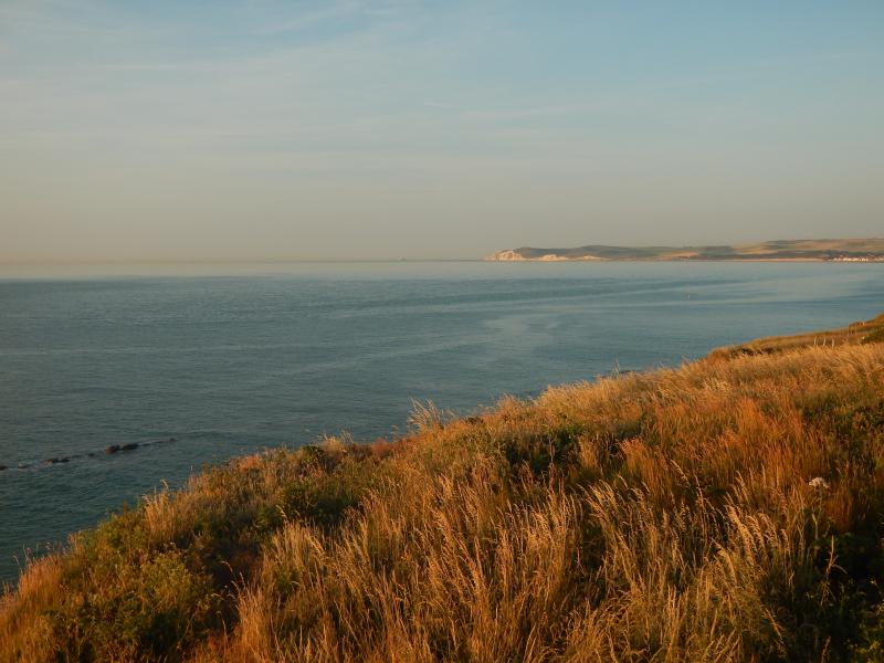 DSCN5094.jpg