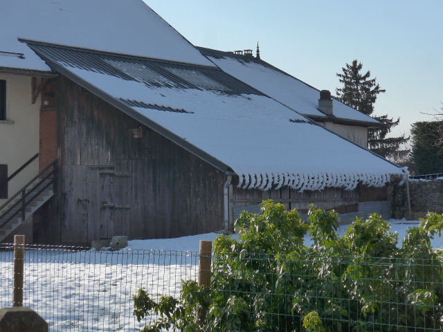 L1150755.JPG