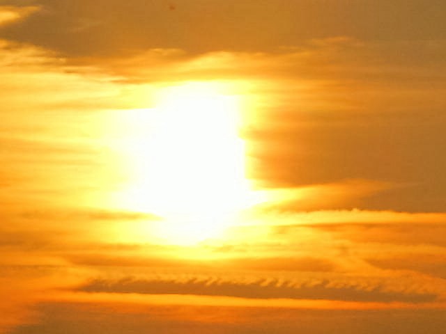 IMG_7140.JPG