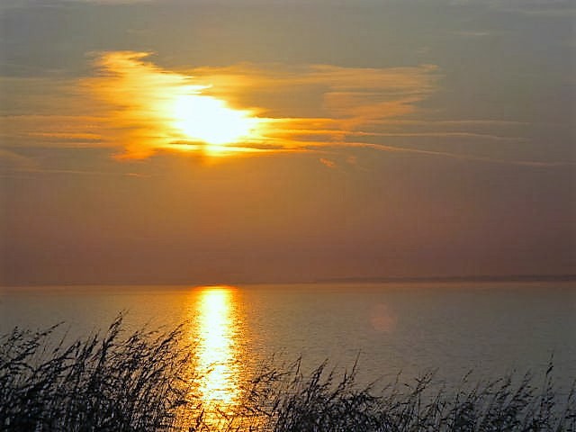 IMG_7161.JPG