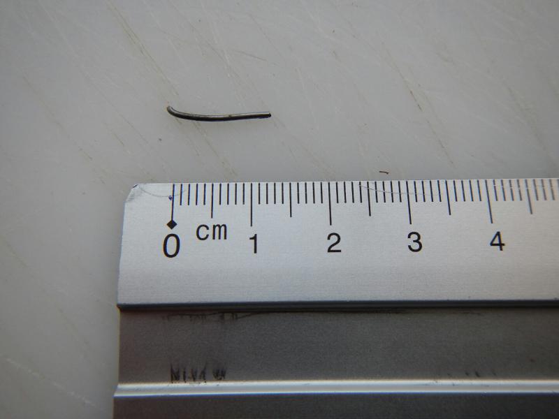 DSCN5118.JPG
