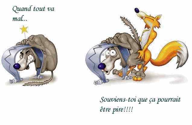 piege_a_loup.jpg