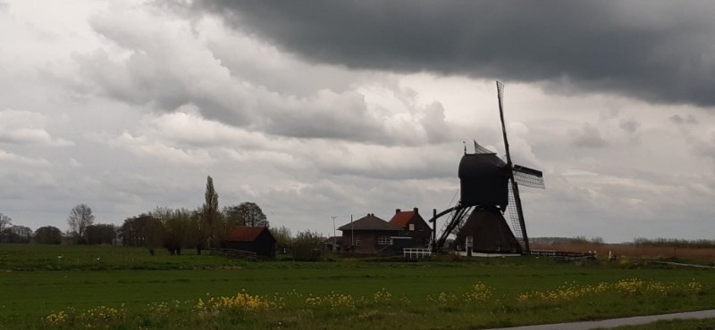 20230423_154537t.jpg