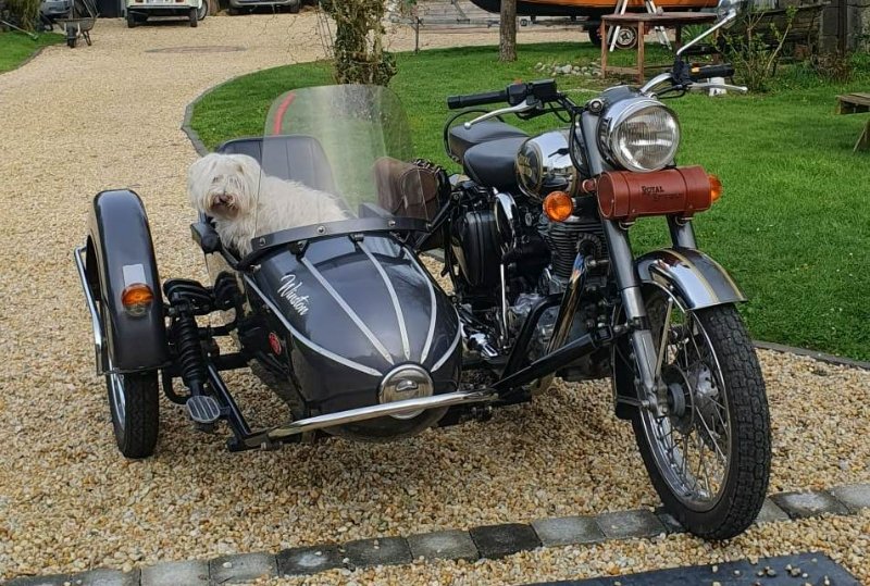 Side Royal enfield 500.jpg