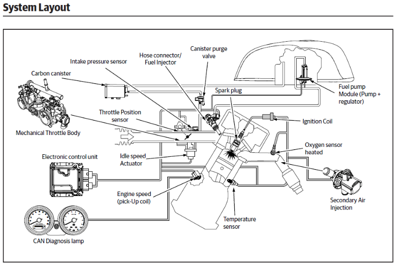 System Layout.png