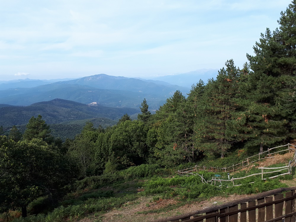 20170922_104155.jpg