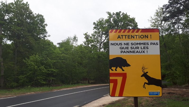 1200x680_index.jpg