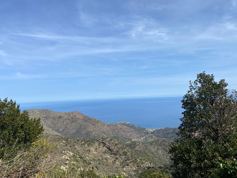 IMG_7722.jpeg