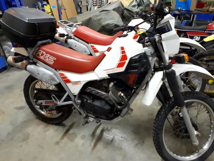 Morini-Jackyx700.jpg