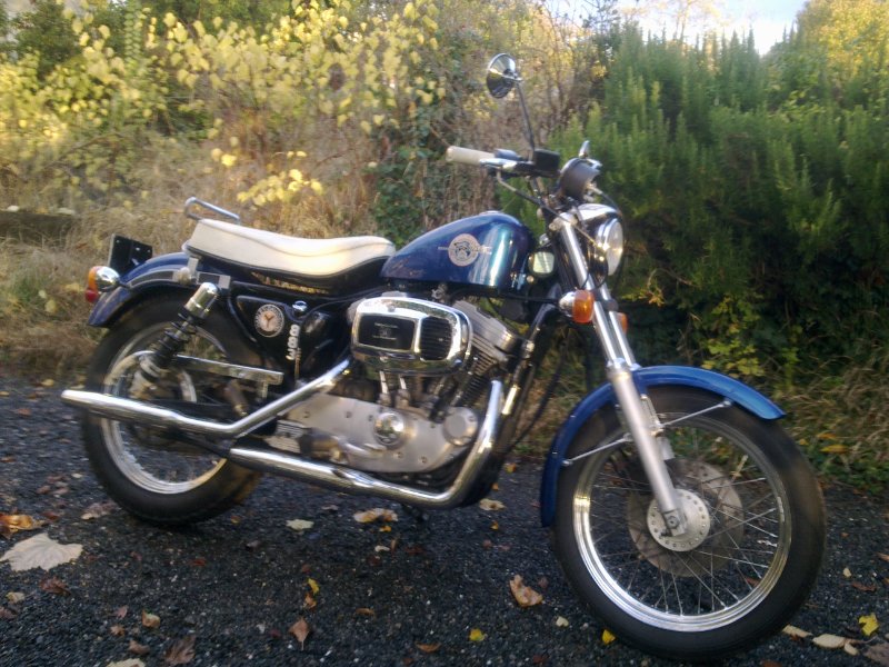 SPORTSTER.jpg