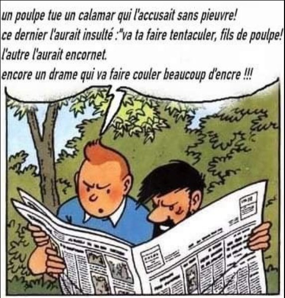 Tintin.jpg