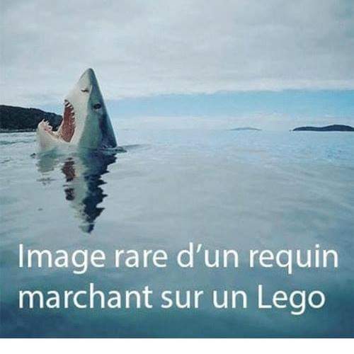 FB_IMG_1714298414706.jpg