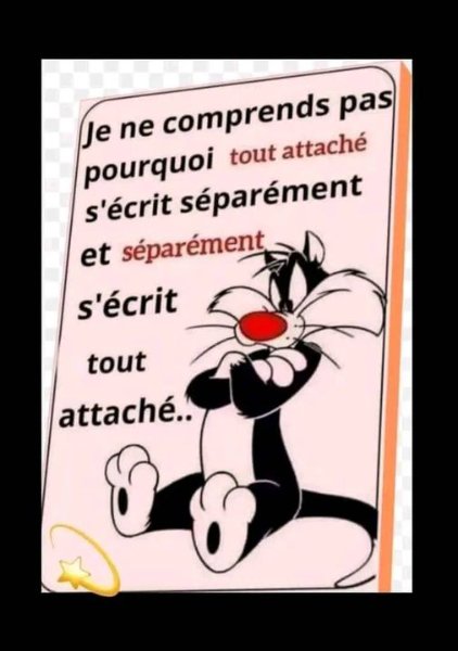 gros minet.jpg