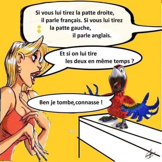 conasse.jpg