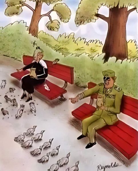Parc oiseaux.jpg