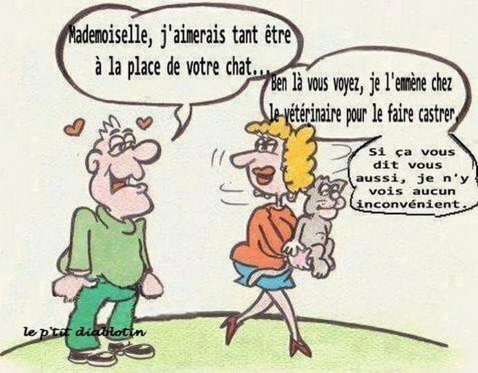 Castration chat.jpg