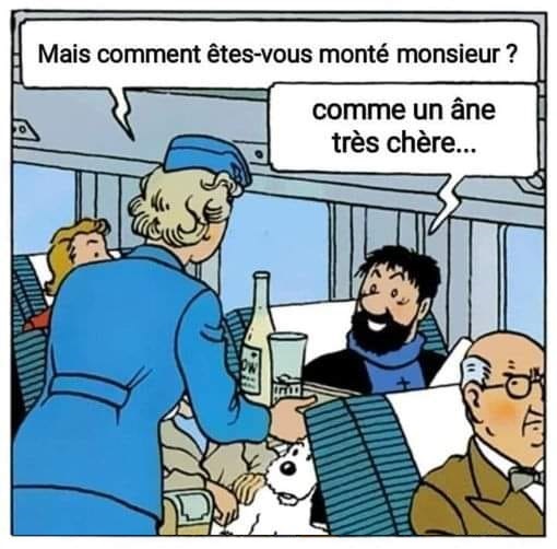 tintin.jpg