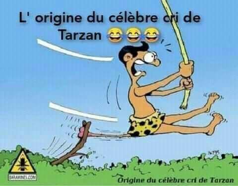 Tarzan.jpg