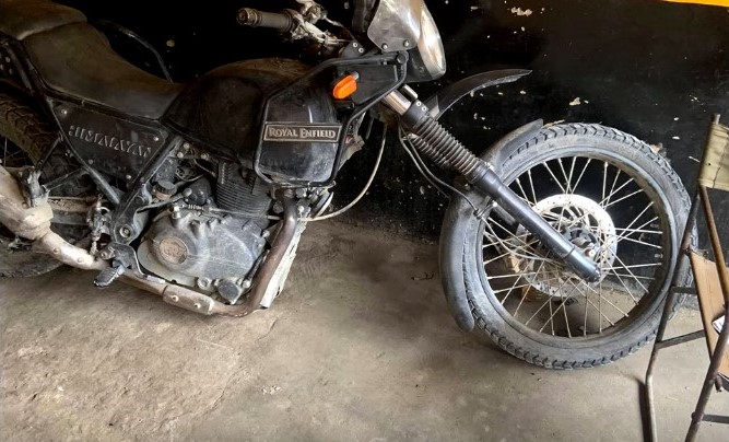 Himalayan ooops.jpg