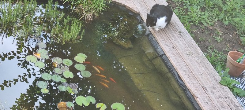20240907_100612.jpg