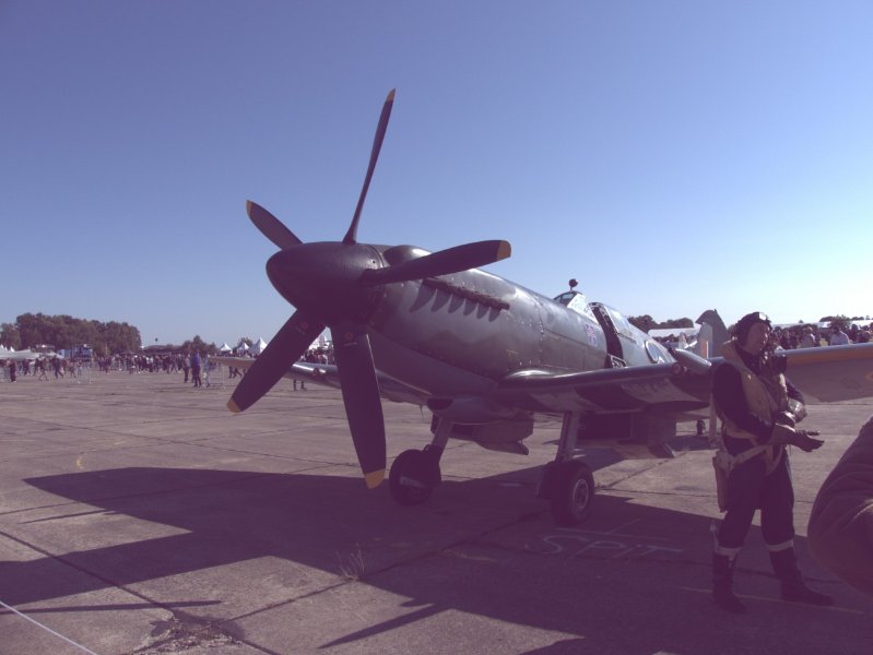P1000020.jpg