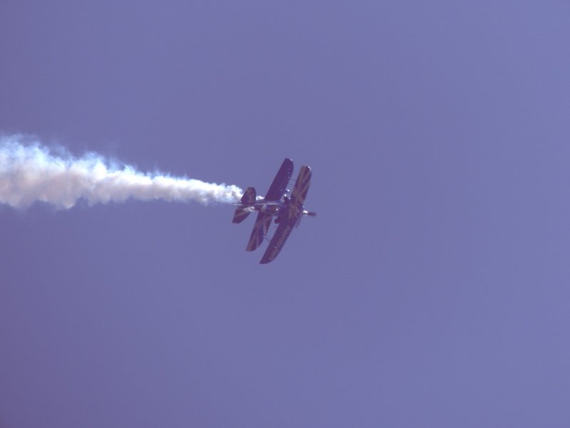 P1000133.jpg