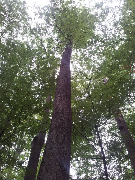 2011-09-24 15.20.05.jpg