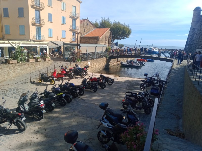 IMG_20240929_112349932.jpg