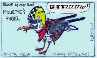mouett10.jpg