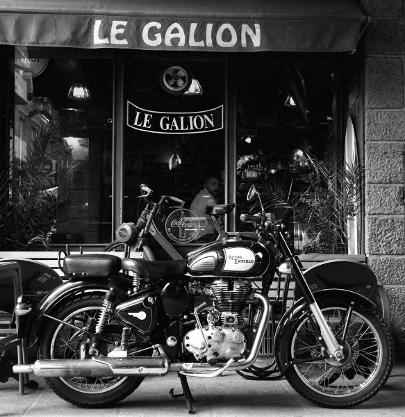 2024.49 ROL3.5F FP4.06.T.jpg