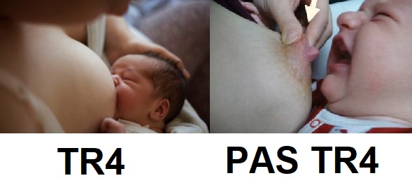 TR4.jpg