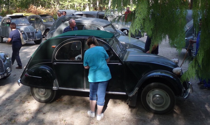 2CV Forest.JPG