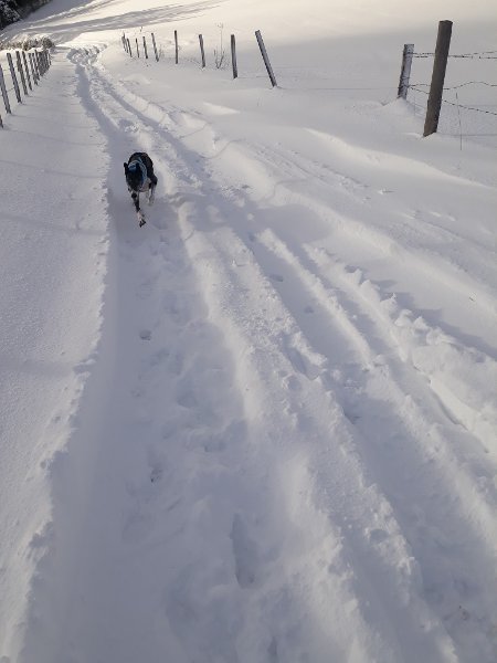 20241224_094829-r.jpg