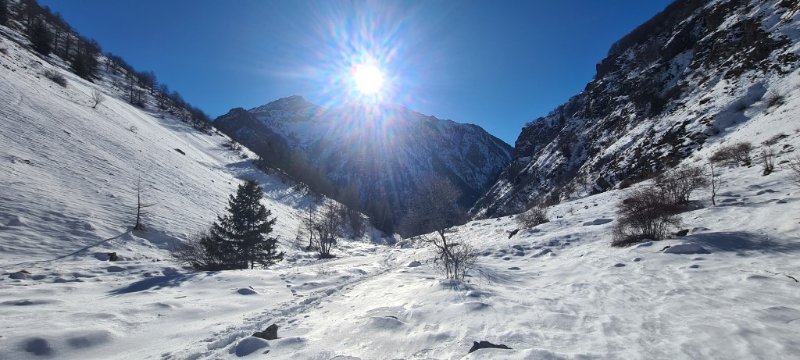 20250101_122216t.jpg