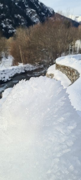 20250102_100132t.jpg