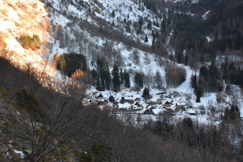 DSC_4224.JPG