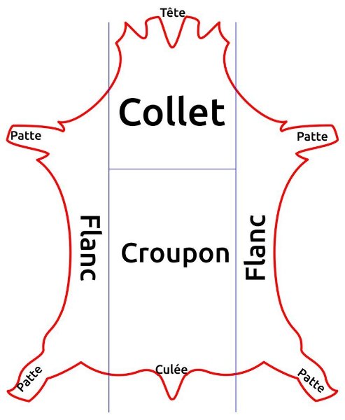 decoupe-peau-cuir-tannerie-collet-dosset-bande-croupon-flanc-choisir-maroquinerie-point-sellier-tithouan-1.jpg