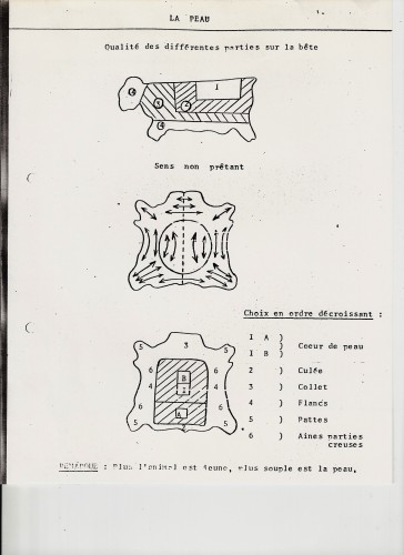 peau-pretant-0001(2).jpg