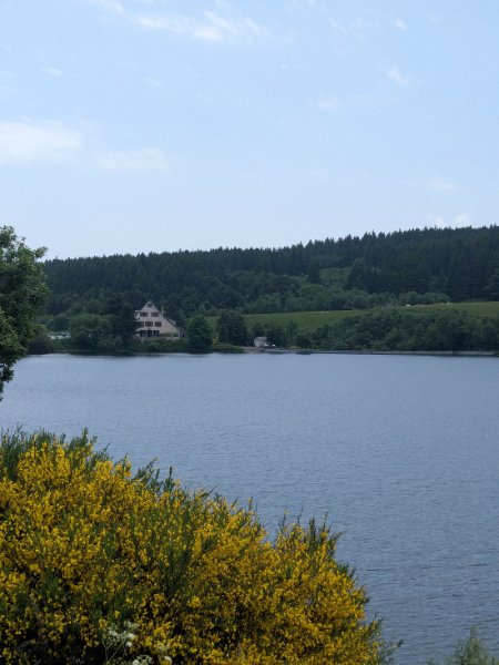 PXL_20250614_122913960.jpg