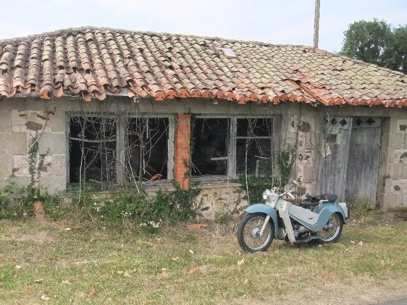 DSCF0026.JPG